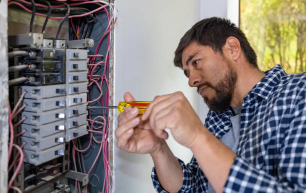 Best Residential Electrician Services  in Elmwood, IL